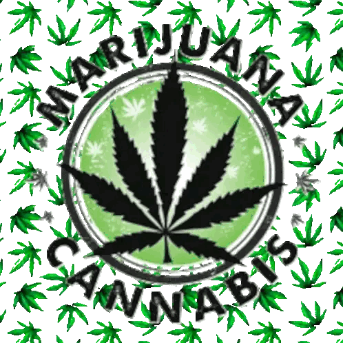 a picture of a marijuana leaf with the words marijuana cannabis surrounding it