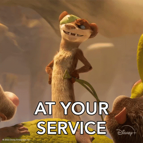 A Picture Of A Meerkat With The Words At Your Service On It GIF