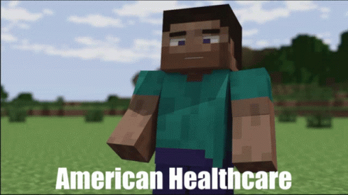 A Picture Of A Minecraft Character With The Words American Healthcare GIF