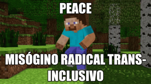 A Picture Of A Minecraft Character With The Words Peace Misogino Radical Trans Inclusive GIF