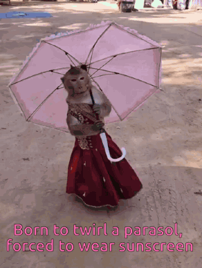A Picture Of A Monkey Holding An Umbrella With The Caption Born To Twirl A Parasol GIF