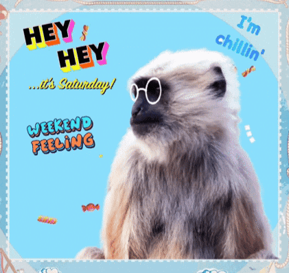 A Picture Of A Monkey Wearing Sunglasses Says Hey Hey It 'S Saturday GIF