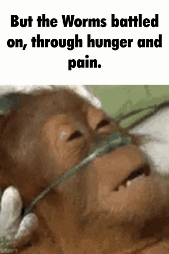 A Picture Of A Monkey With A Caption That Says " But The Worms Battled On Through Hunger And Pain . " GIF