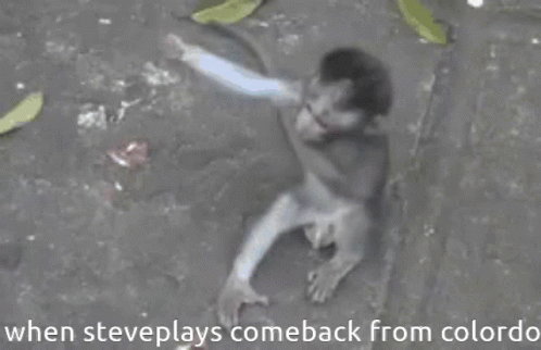 A Picture Of A Monkey With The Caption When Steve Plays Comeback From Colordo GIF