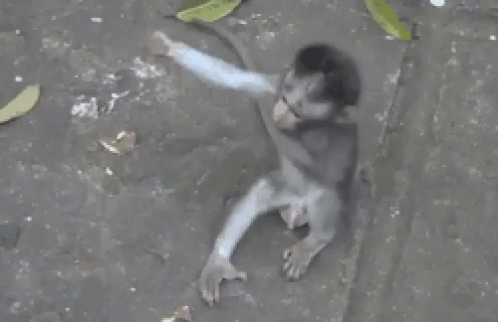 A Picture Of A Monkey With The Words " Eh Toloooonngg " Written Below It GIF