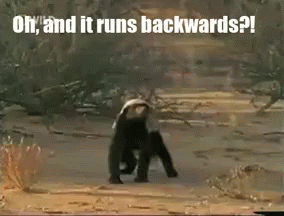 Monkey With Oh And It Runs Backwards Text GIF