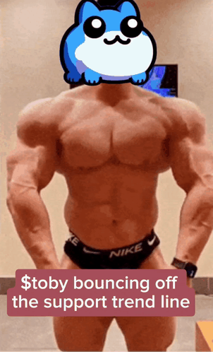 A Picture Of A Muscular Man With A Blue Cat On His Head And The Words $ Toby Bouncing Off The Support Trend Line GIF