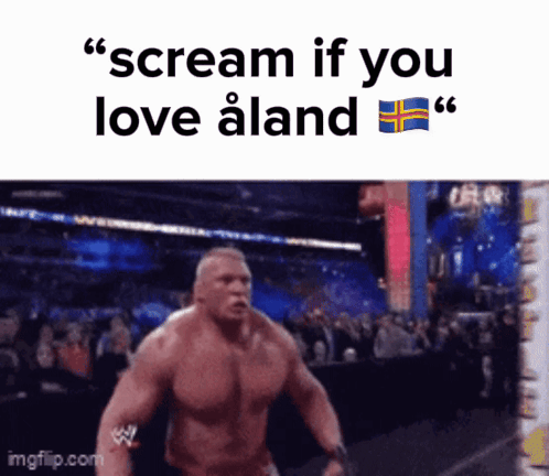 a picture of a muscular man with the words " scream if you love aland "