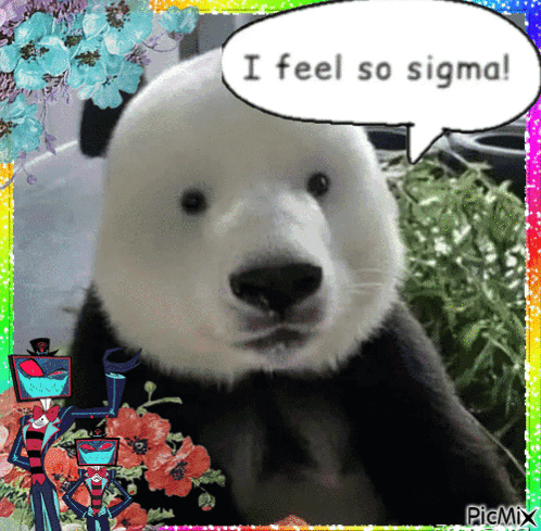 a picture of a panda bear with a speech bubble that says i feel so sigma