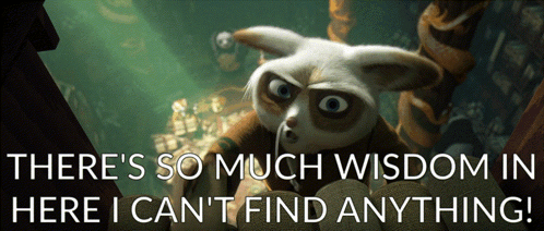 A Picture Of A Panda With The Words There 'S So Much Wisdom In Here I Can 'T Find Anything GIF