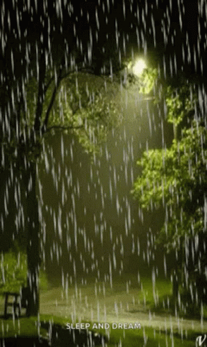 A Picture Of A Park In The Rain With The Words Sleep And Dream GIF
