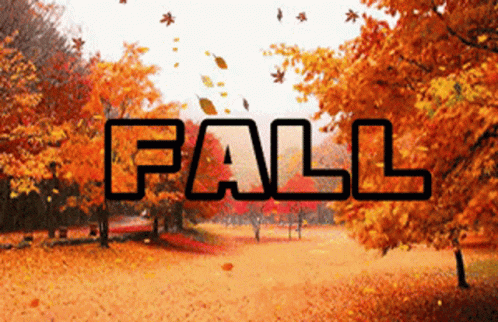 A Picture Of A Park With The Word Fall Written On It GIF