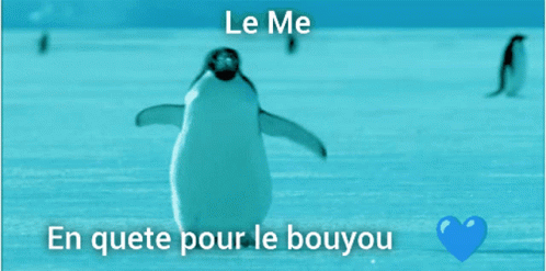 A Picture Of A Penguin With The Words Le Me En Quete Pour Le Boyou Under It GIF