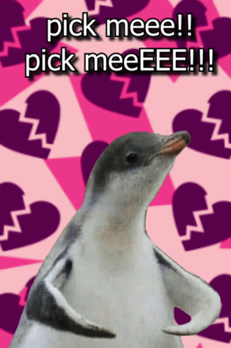 A Picture Of A Penguin With The Words Pick Meee And Pick Meeee On It GIF