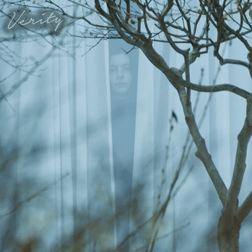 A Picture Of A Person Behind A Fence Has The Word Verity Written On It GIF