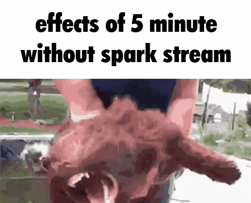 A Picture Of A Person Holding A Dog With The Words Effects Of 5 Minute Without Spark Stream GIF