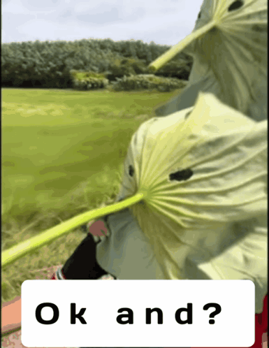 A Picture Of A Person Holding A Green Leaf And The Words Ok And GIF