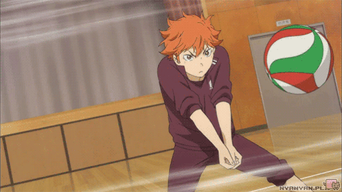 A Picture Of A Person Playing Volleyball With Nyannyam.pl In The Bottom Right Corner GIF