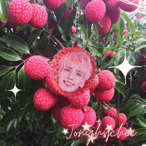 A Picture Of A Person 'S Face In A Bunch Of Lychees With The Name Tonghuchee GIF