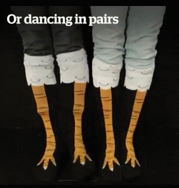 A Picture Of A Person 'S Legs With The Words " Or Dancing In Pairs " GIF
