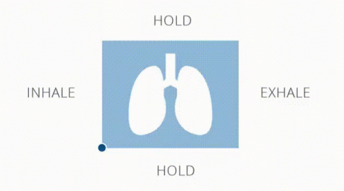 A Picture Of A Person 'S Lungs With The Words Inhale And Exhale GIF