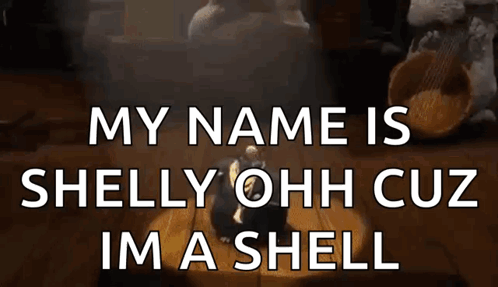 A Picture Of A Person Sitting On A Table With The Words My Name Is Shelly Ohh Cuz Im A Shell GIF