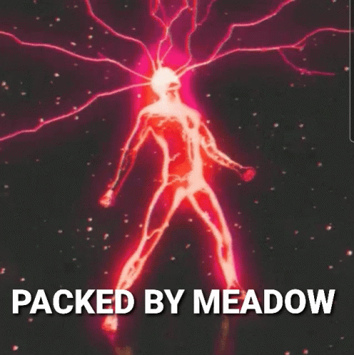 A Picture Of A Person With The Words Packed By Meadow GIF