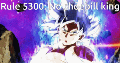 A Picture Of A Person With The Words Rule 5300 No Shoepill King Above Them GIF