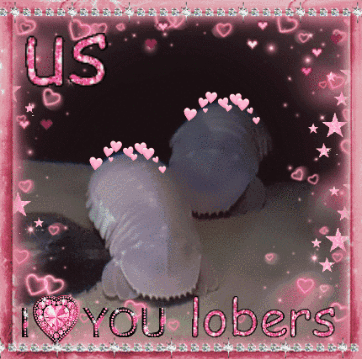 A Picture Of A Person With The Words Us I Love You Lobers GIF