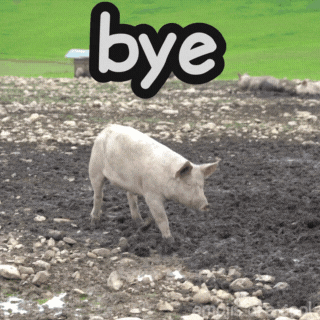 A Picture Of A Pig In A Muddy Field With The Word Bye Above It GIF