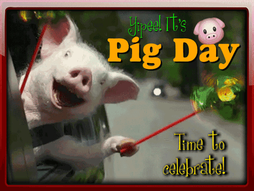 A Picture Of A Pig On A Leash With The Words Pig Day Time To Celebrate GIF
