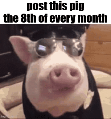 A Picture Of A Pig Wearing Sunglasses With The Words Post This Pig The 8Th Of Every Month . GIF