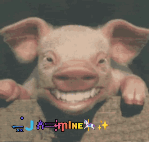 A Picture Of A Pig With The Name Jasmine Written On It GIF