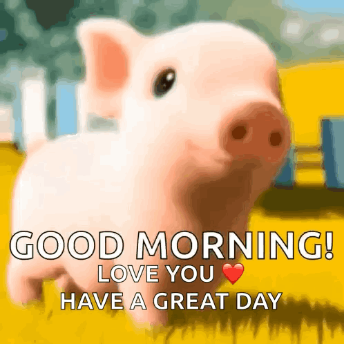 A Picture Of A Pig With The Words " Good Morning Love You Have A Great Day " GIF