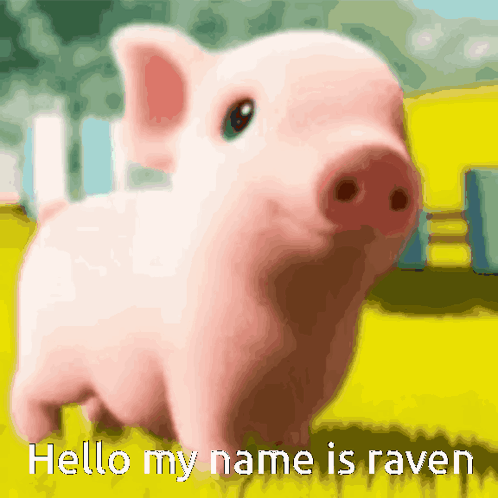 A Picture Of A Pig With The Words Hello My Name Is Raven GIF