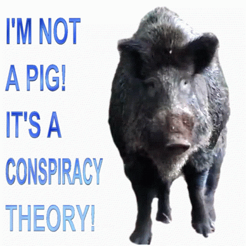 A Picture Of A Pig With The Words " I 'M Not A Pig It 'S A Conspiracy Theory " GIF