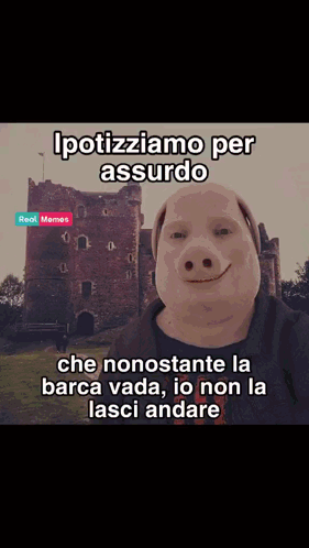 A Picture Of A Pig With The Words Ipotiziamo Per Assurdo On The Bottom GIF