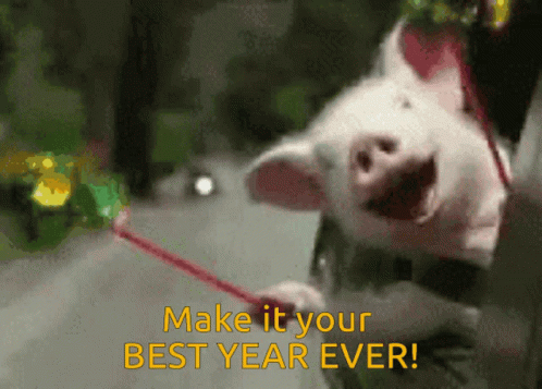 A Picture Of A Pig With The Words Make It Your Best Year Ever Below It GIF