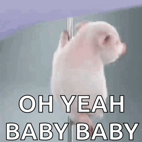A Picture Of A Pig With The Words Oh Yeah Baby Baby Above It GIF