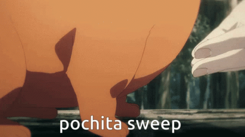 A Picture Of A Pig With The Words Pochita Sweep Written On It GIF
