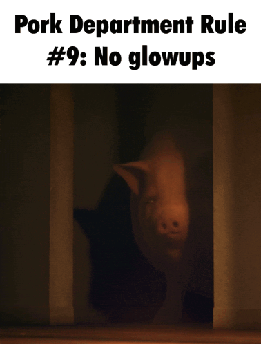 A Picture Of A Pig With The Words Pork Department Rule # 9 No Glowups GIF