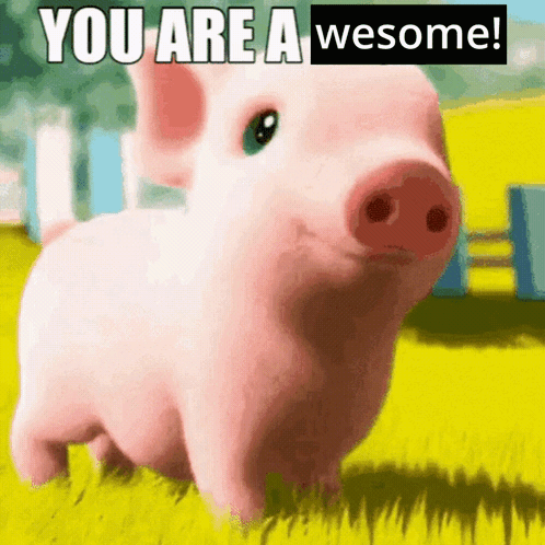 A Picture Of A Pig With The Words " You Are A Wesome " On It GIF