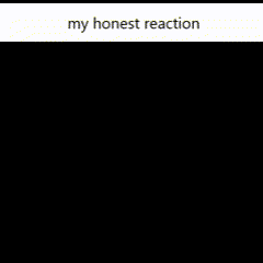 A Picture Of A Pigeon With The Words My Honest Reaction Written On The Bottom GIF