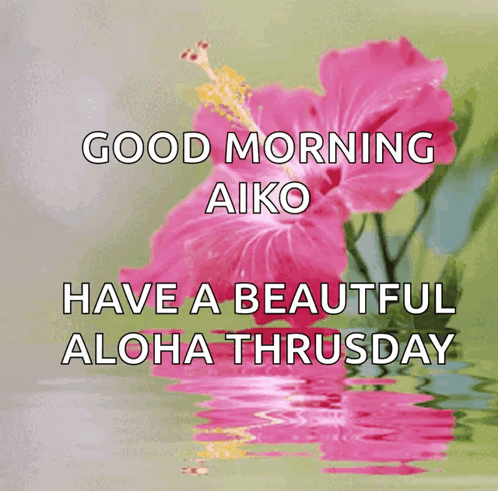 A Picture Of A Pink Flower With The Words " Good Morning Aiko Have A Beautiful Aloha Thursday " GIF