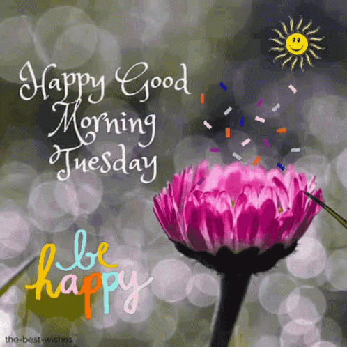 A Picture Of A Pink Flower With The Words Happy Good Morning Tuesday GIF