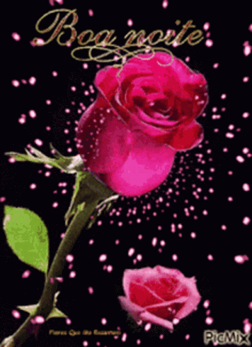 A Picture Of A Pink Rose With The Words Boa Noite On The Bottom GIF