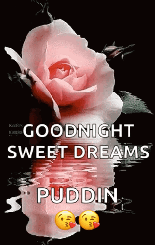 A Picture Of A Pink Rose With The Words Goodnight Sweet Dreams Puddin GIF