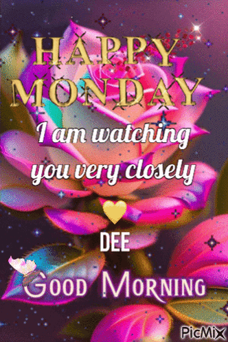 A Picture Of A Pink Rose With The Words Happy Monday I Am Watching You Very Closely GIF