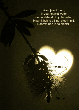 A Picture Of A Plant With A Heart Shaped Shadow And A Poem By Dinie GIF