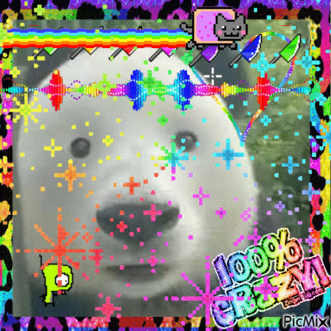 Polar Bear With 100 Crazy Words GIF